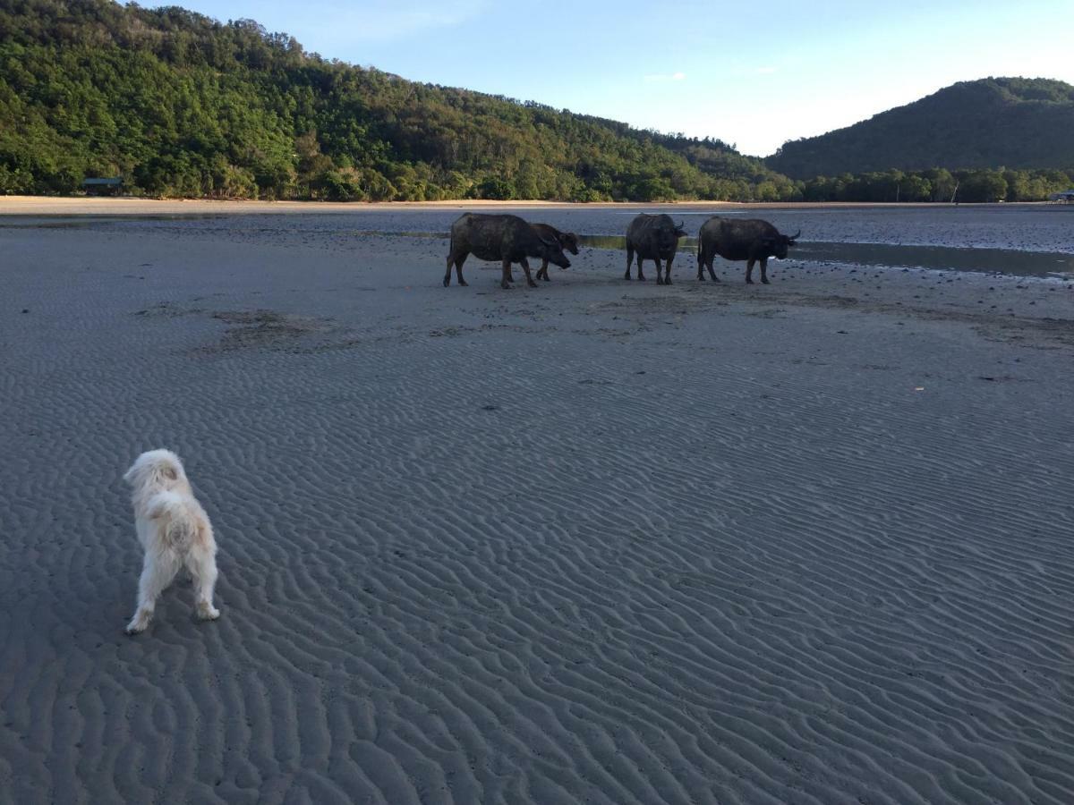 Dragon Pearl Beach Resort Kota Belud Ngoại thất bức ảnh